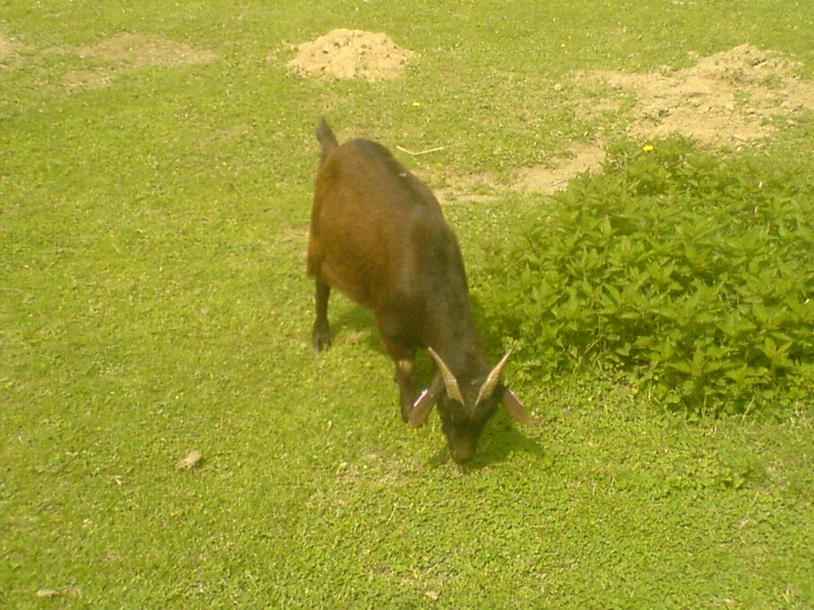 snímek 006.jpg